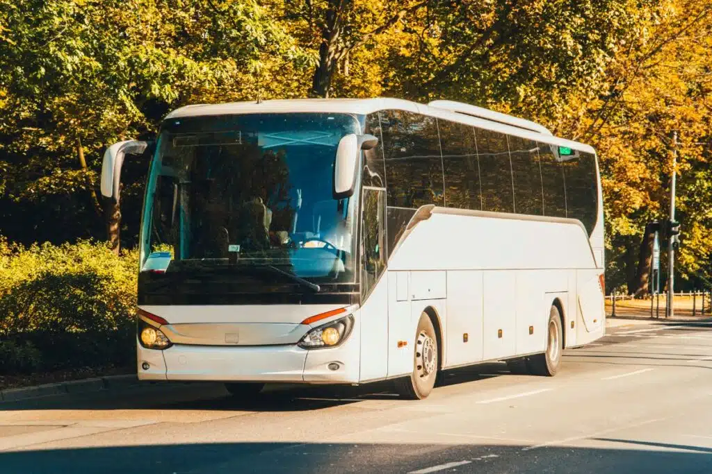 bus algarve