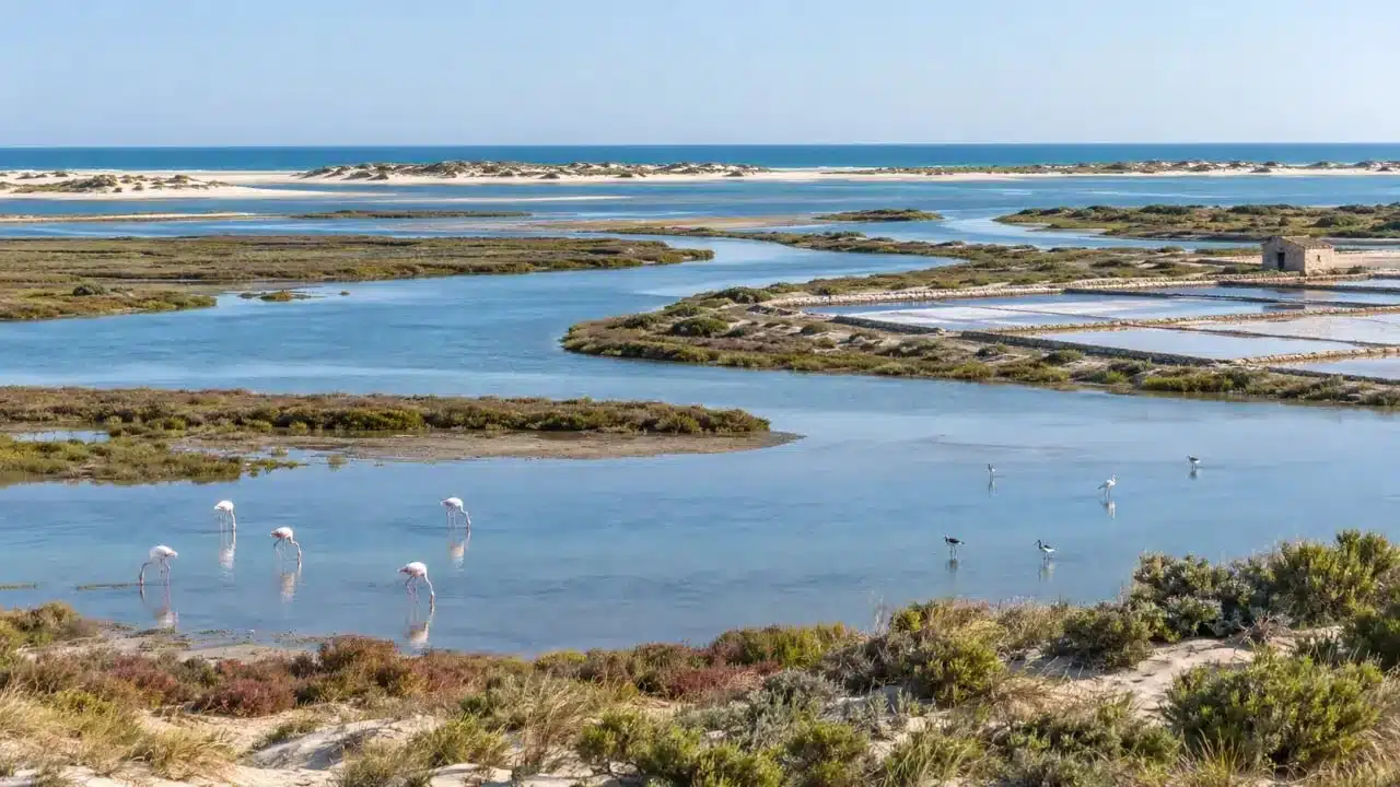 Mer au Portugal dans la Ria Formosa près de Faro, entre lagune et îles-barrières